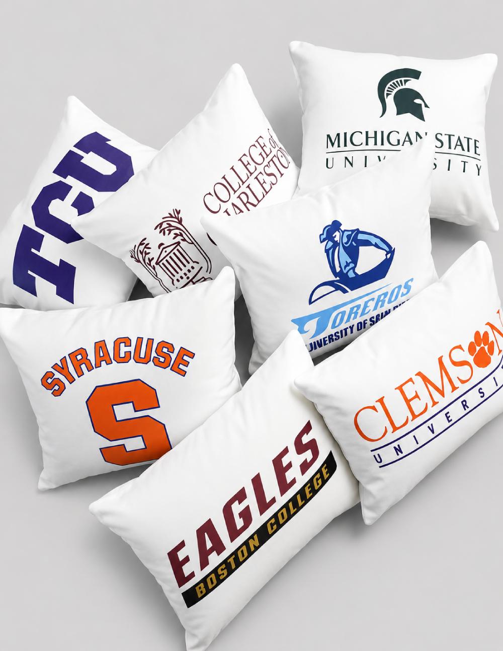 College Pillow