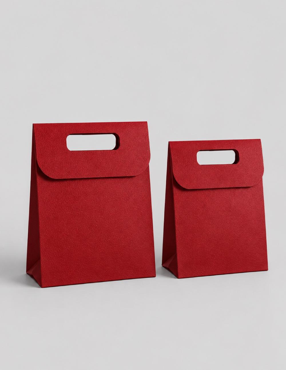Elegant Gift Paper Bag