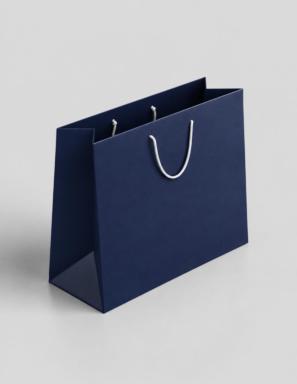 Horizontal Box Paper Bag