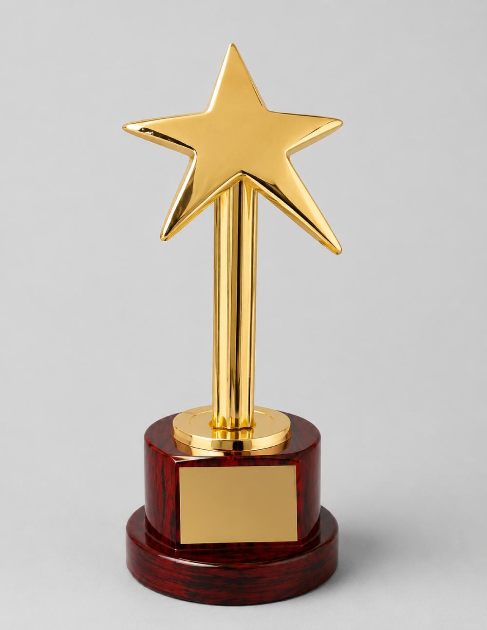 Metal Curve Star with Wooden Base
