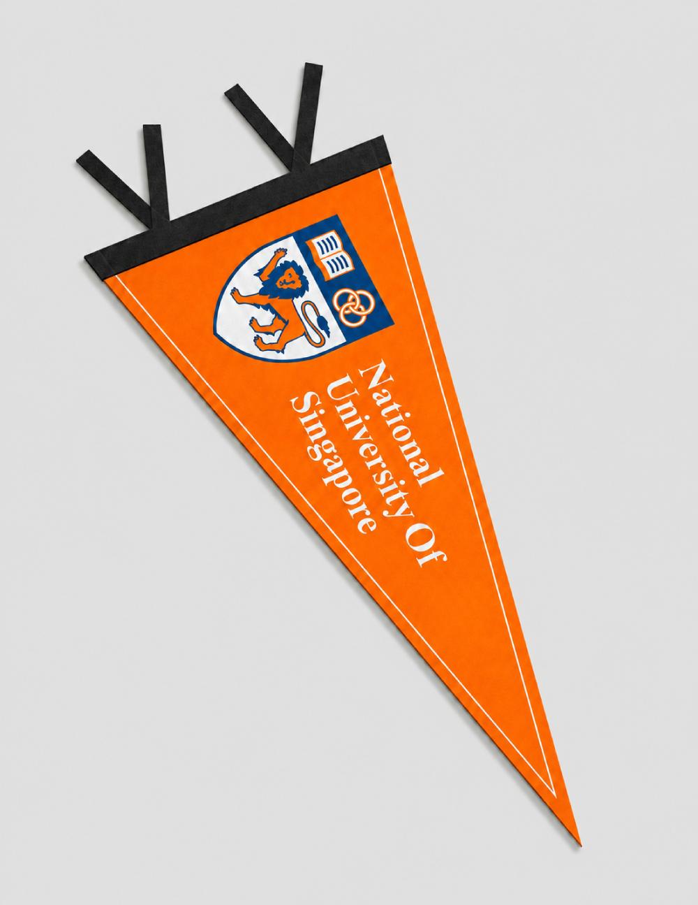 Pennant Flag 8_ x 18_ – Medium Size