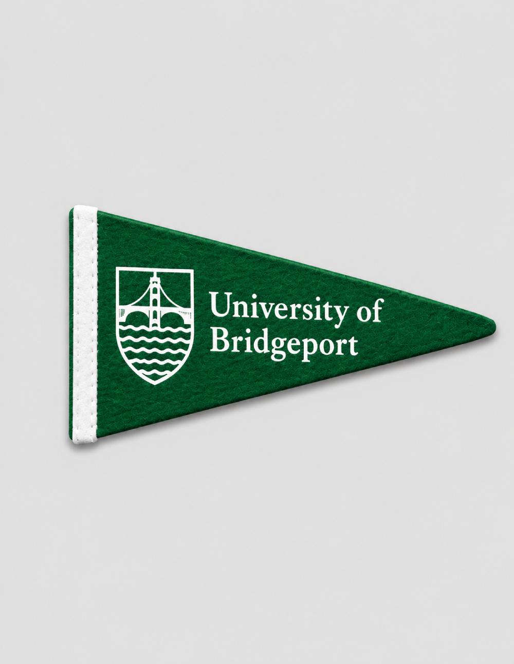 Pennant Flag Fridge Magnet